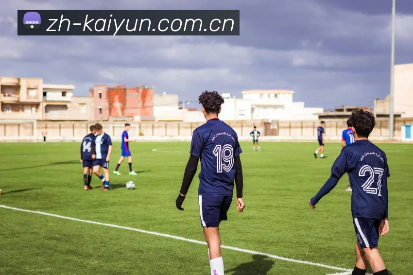 开云体育下载发展历程